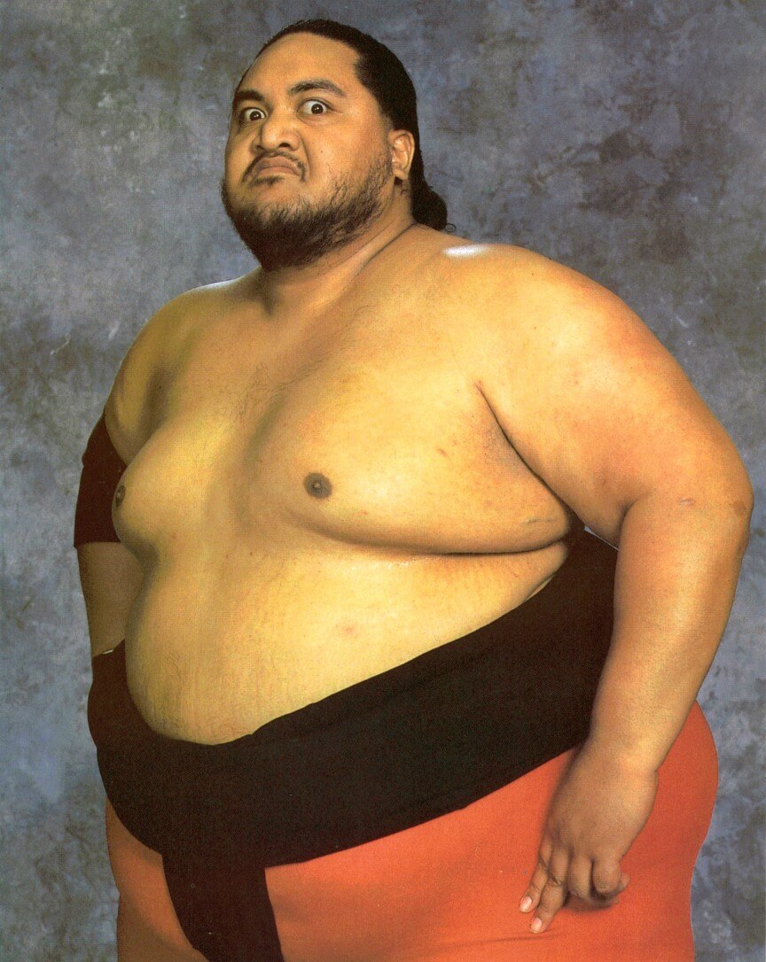 Yokozuna