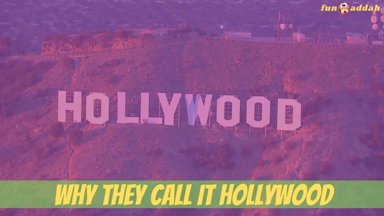 Why They Call It Hollywood